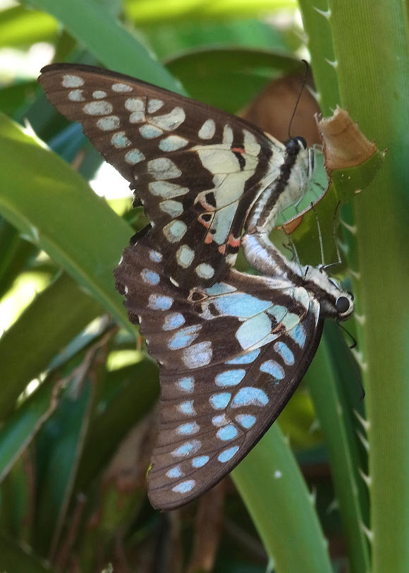 �~�J�h�A�Q�n�Q