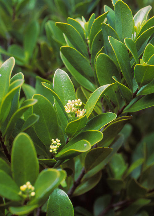 ���j���r���N�_��