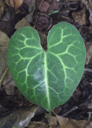 �t�Q(�T�b��)