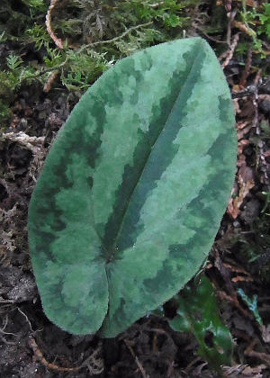 �t�Q(�_���Q�j