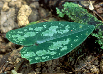 �t�Q(�_���j