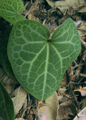 �t�Q(�T�b��j