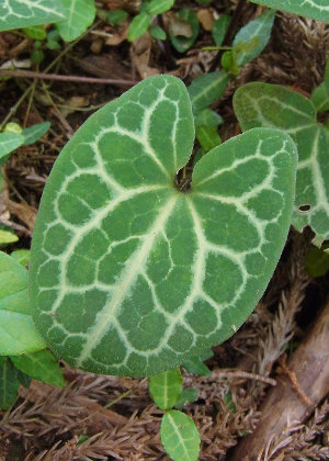 �t�Q(�T�b��)